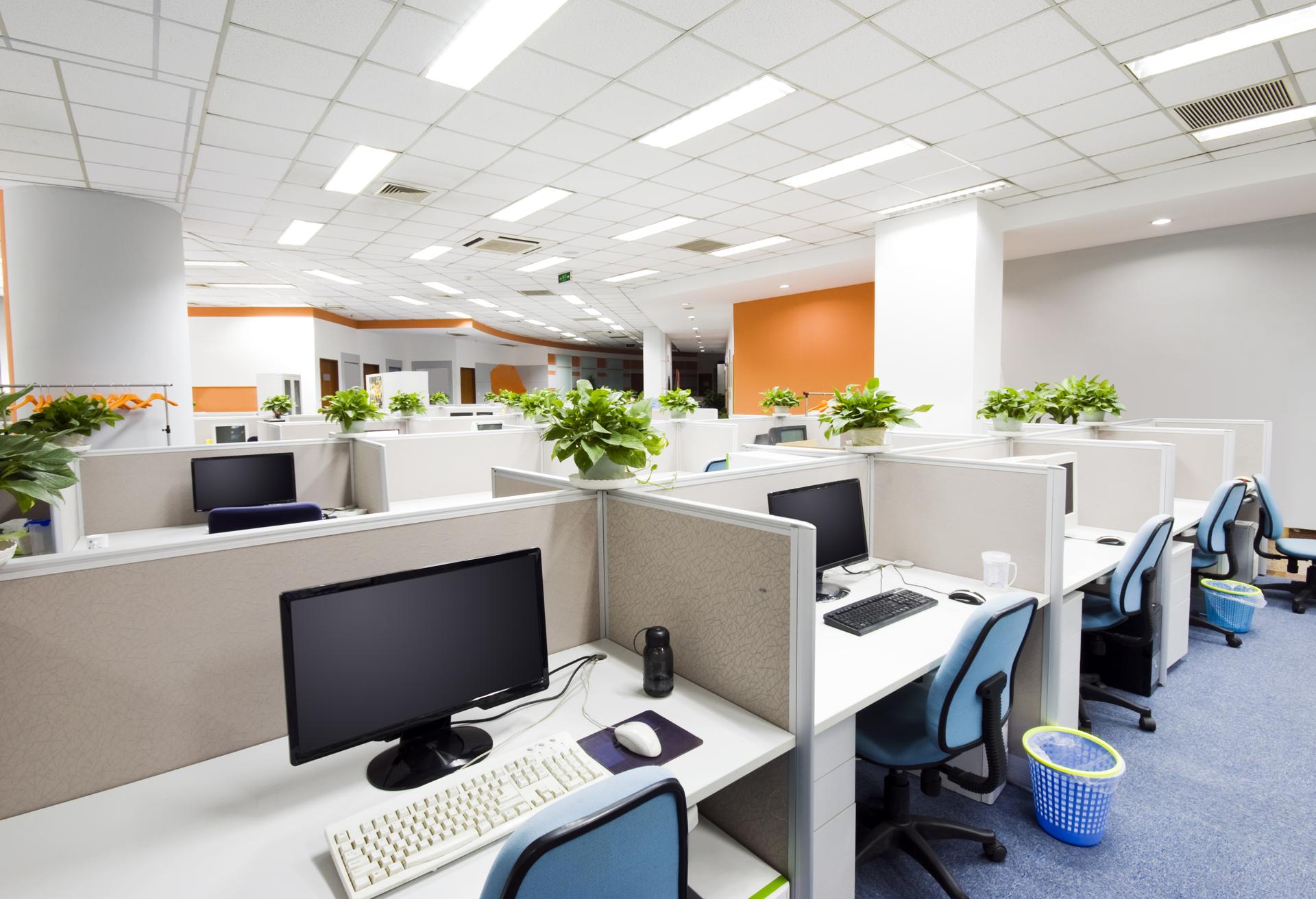 Professional Business Cleaning Services in Raby